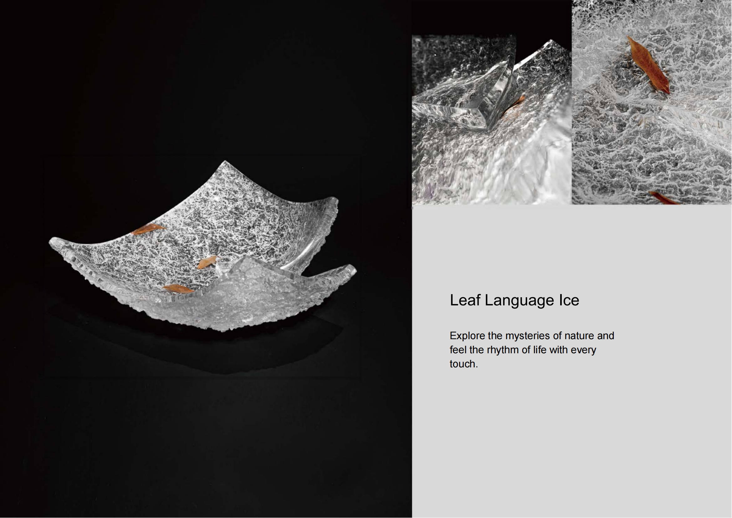 Leaf Language Ice